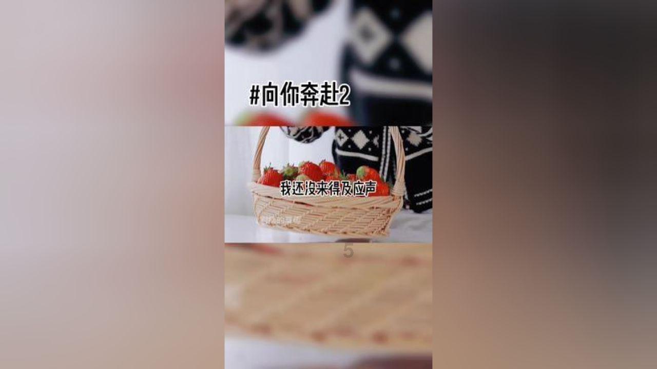 熊出没水果大陆2
